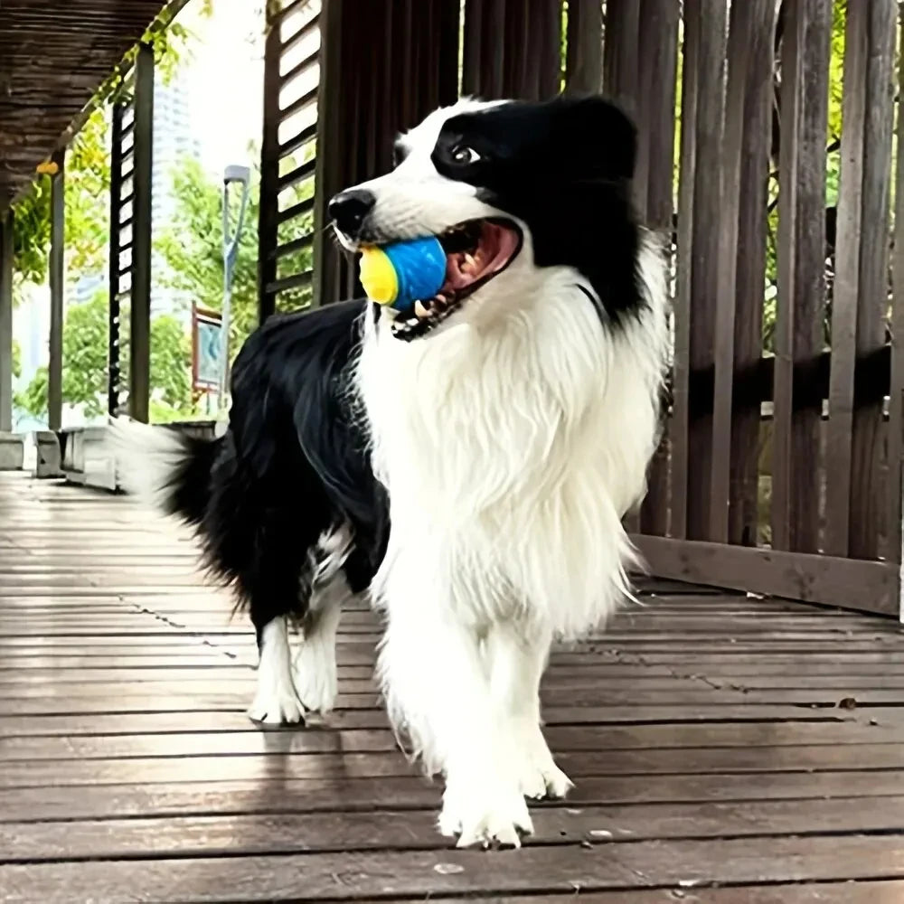Interactive Dog Ball – Tough Chew & Dental Support