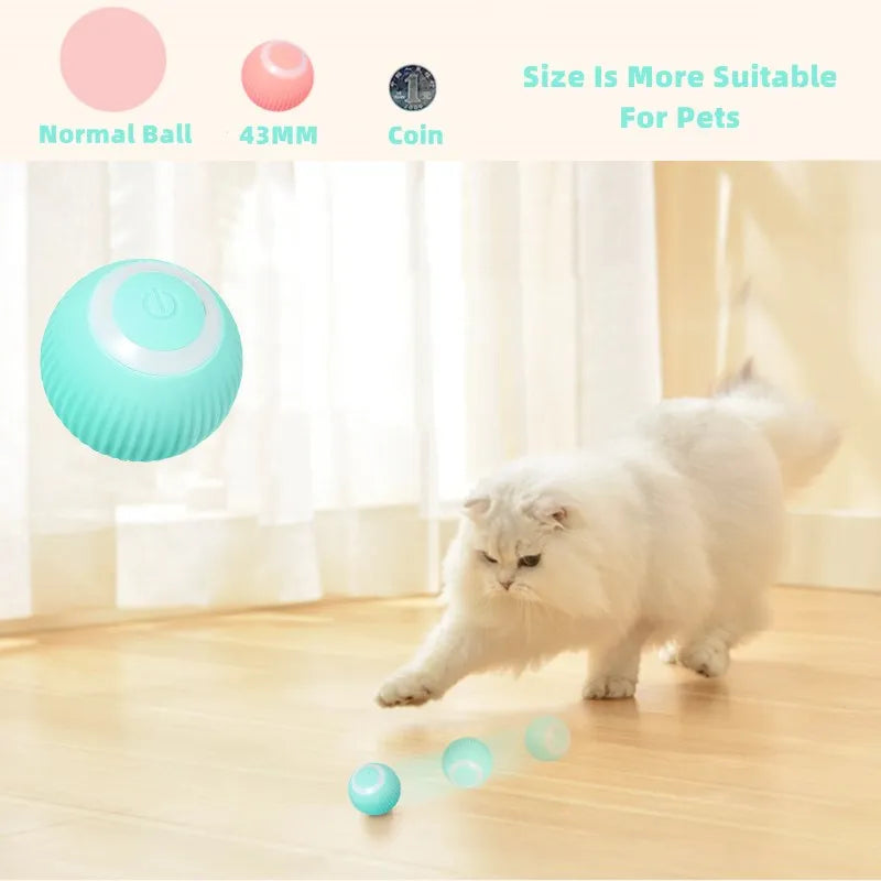 Automatic Magic Ball for Cats – Indoor Play & Exercise