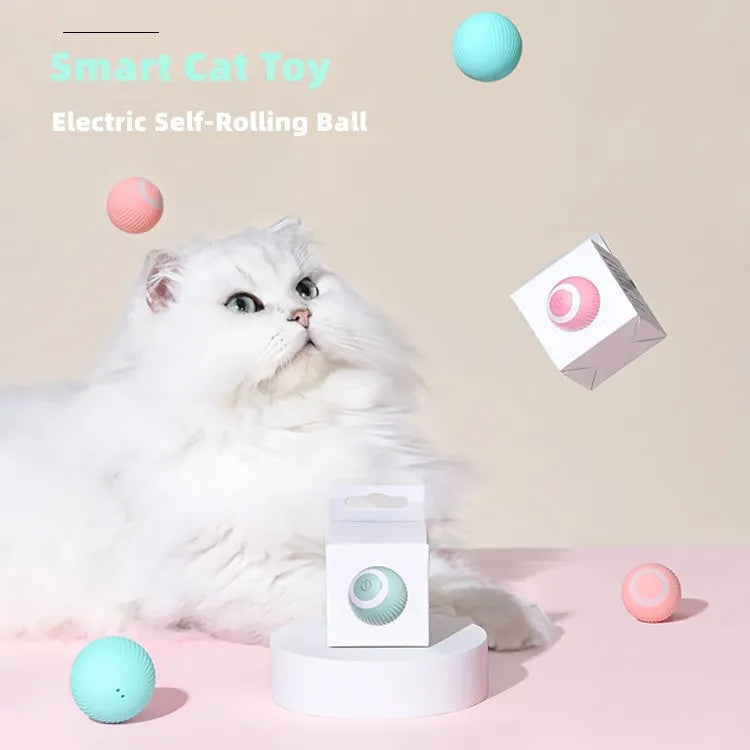 Automatic Magic Ball for Cats – Indoor Play & Exercise