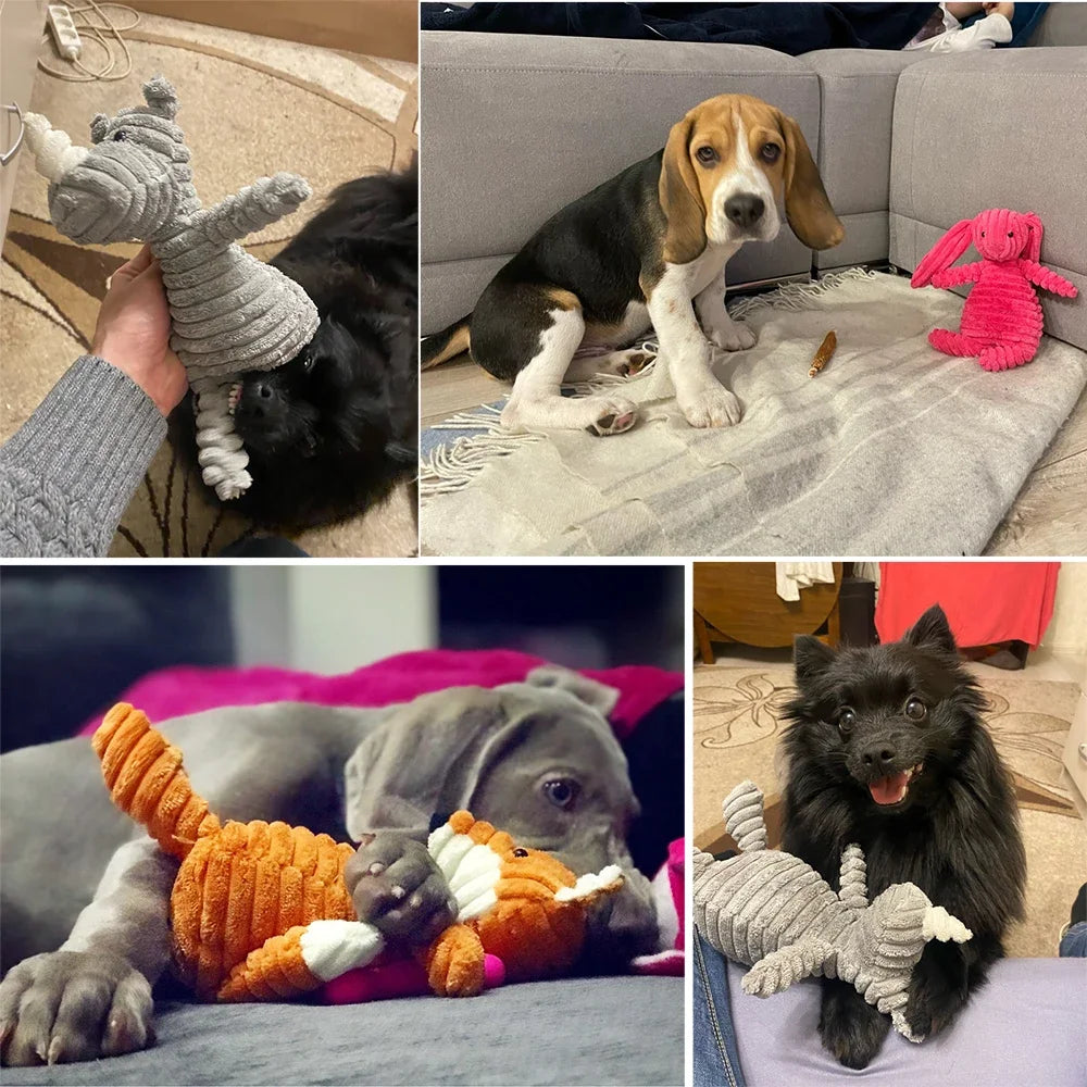 Corduroy Dog Toy – Squeaky, Soft & Tough for All Sizes