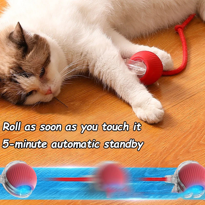 Interactive Cat Ball Toy – Rechargeable & Motion-Activated