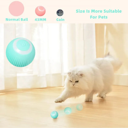 Automatic Magic Ball for Cats – Indoor Play & Exercise