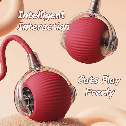 Interactive Cat Ball Toy – Rechargeable & Motion-Activated