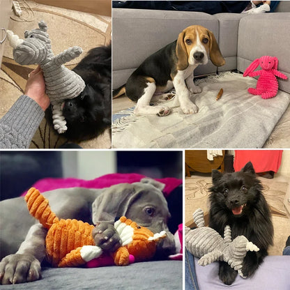 Corduroy Dog Toy – Squeaky, Soft & Tough for All Sizes