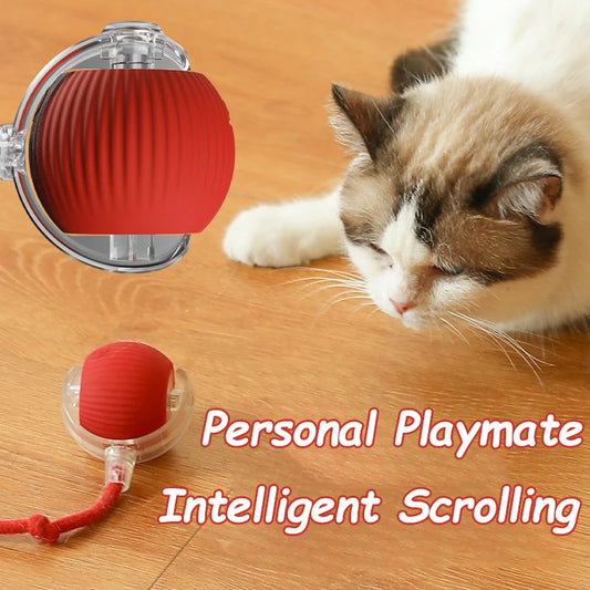 Interactive Cat Ball Toy – Rechargeable & Motion-Activated