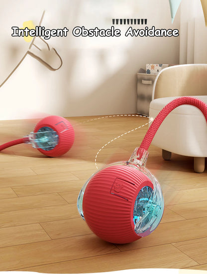 Interactive Cat Ball Toy – Rechargeable & Motion-Activated