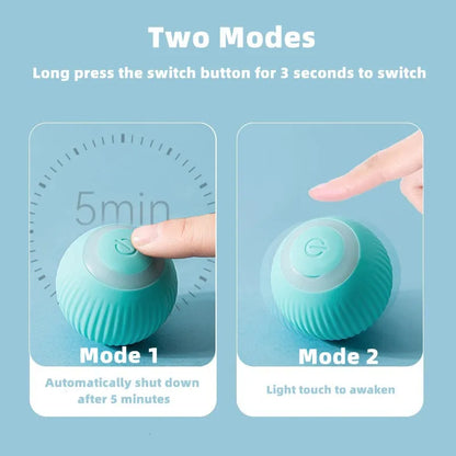Automatic Magic Ball for Cats – Indoor Play & Exercise